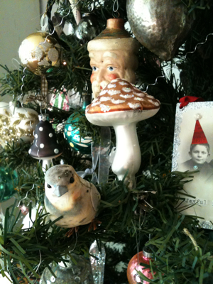 The Light That Leds The Light That Leds