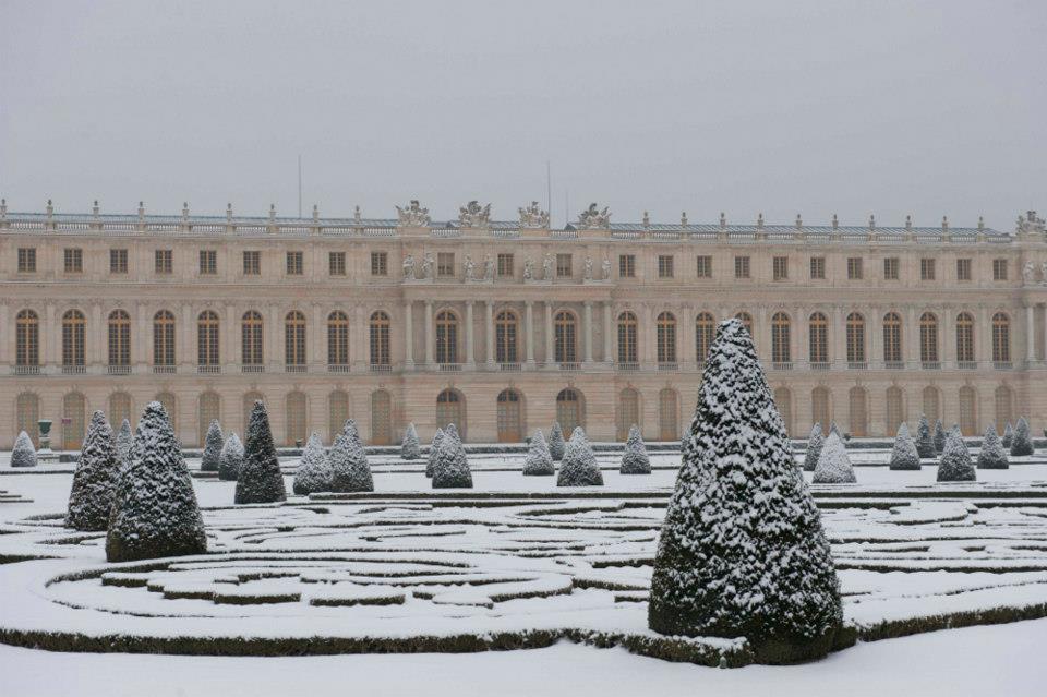 Beauty, Versailles Beauty, Versailles
