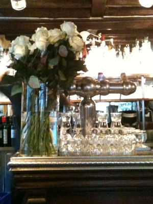 Discovering Our New Neighborhood