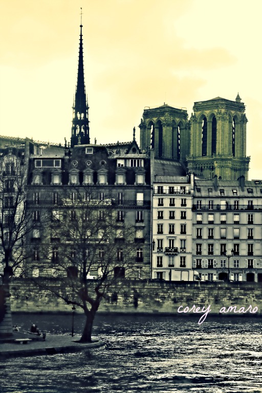 Notre dame Notre dame