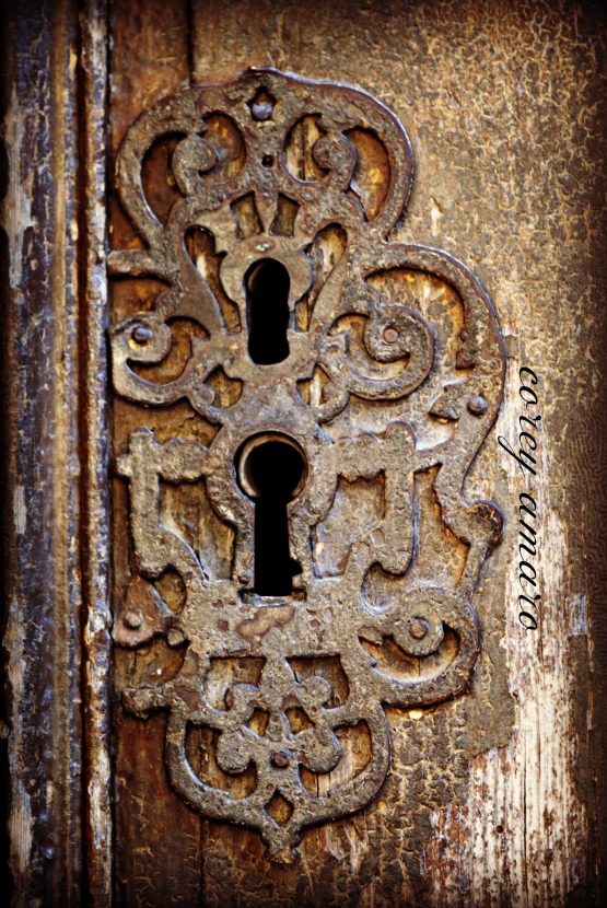 French antique lock cover French antique lock cover