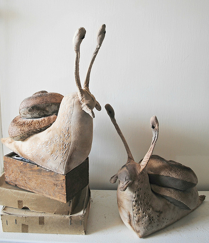 Mr finch snails Mr finch snails