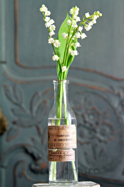 Old bottle as a vase