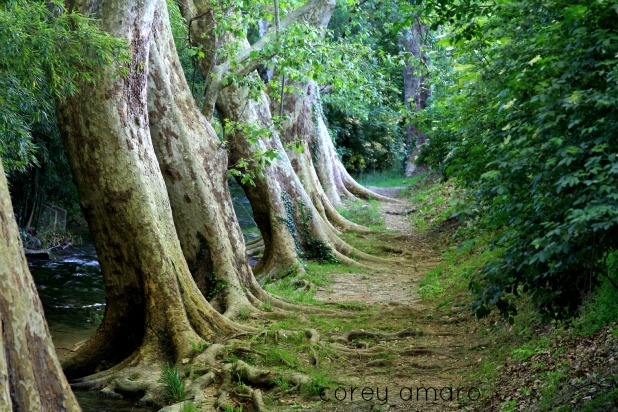 The path to everlasting