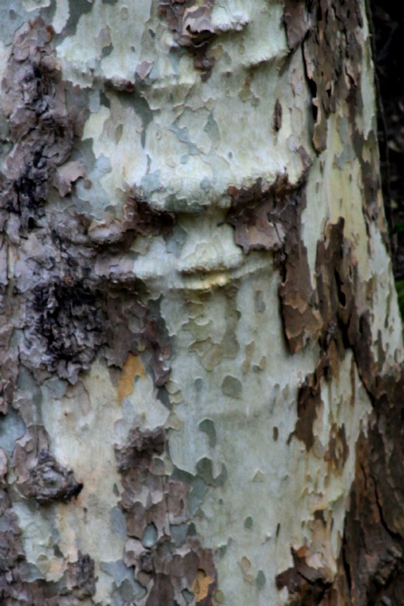 Tree personage