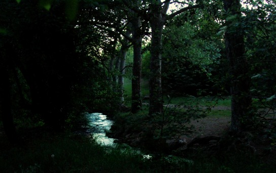 Evening song