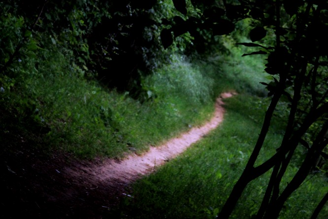 The path ahead