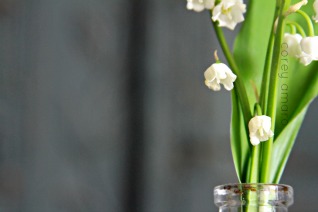 Lily of the valley