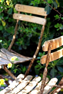 Two Chairs in the Garden