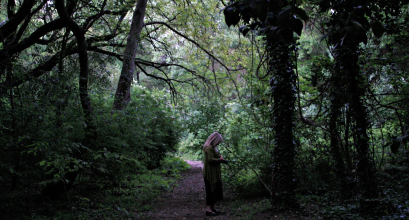 In the forest