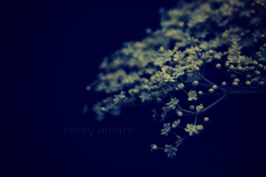 Soft as angel's breath