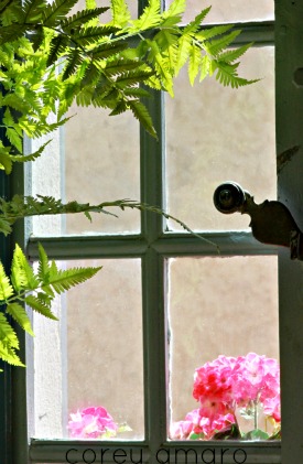 French Window 