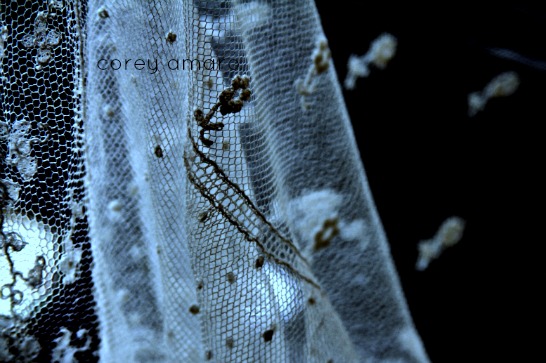 Lace curtain, early morning