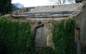 Ivy covered ruin