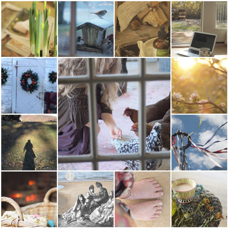  lesley austins photographs