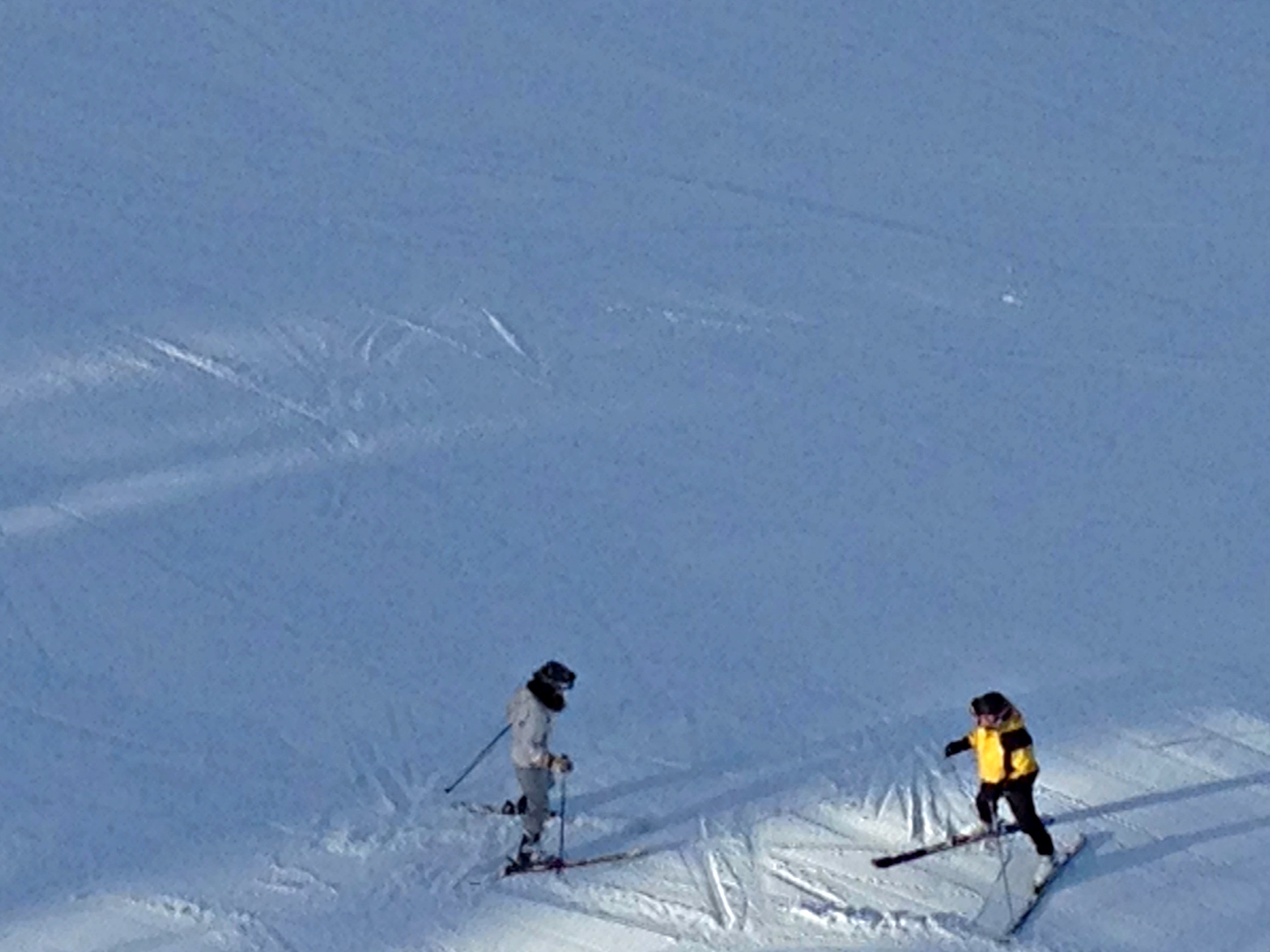 The ski instructor
