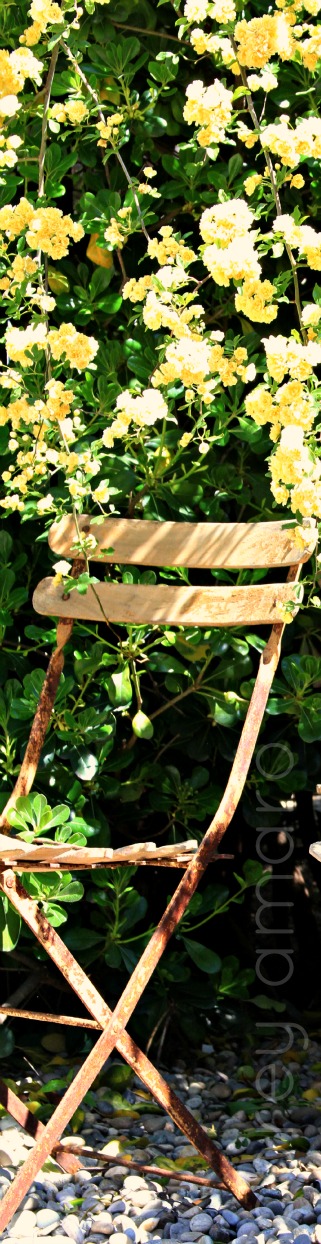 Cherish simplicity Cherish simplicity