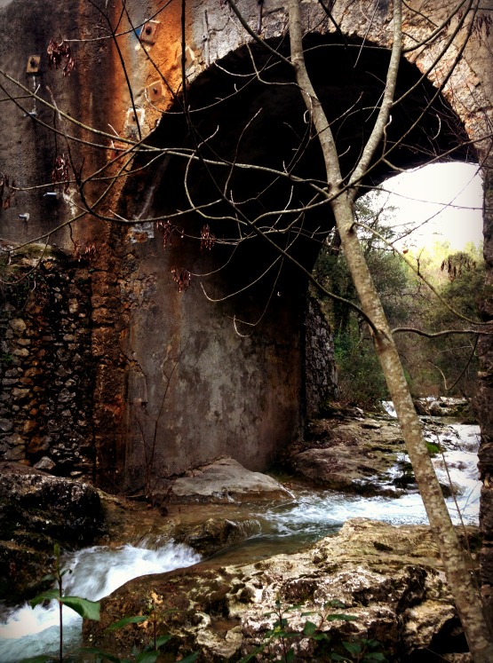 Run deep run wild the river under the bridge