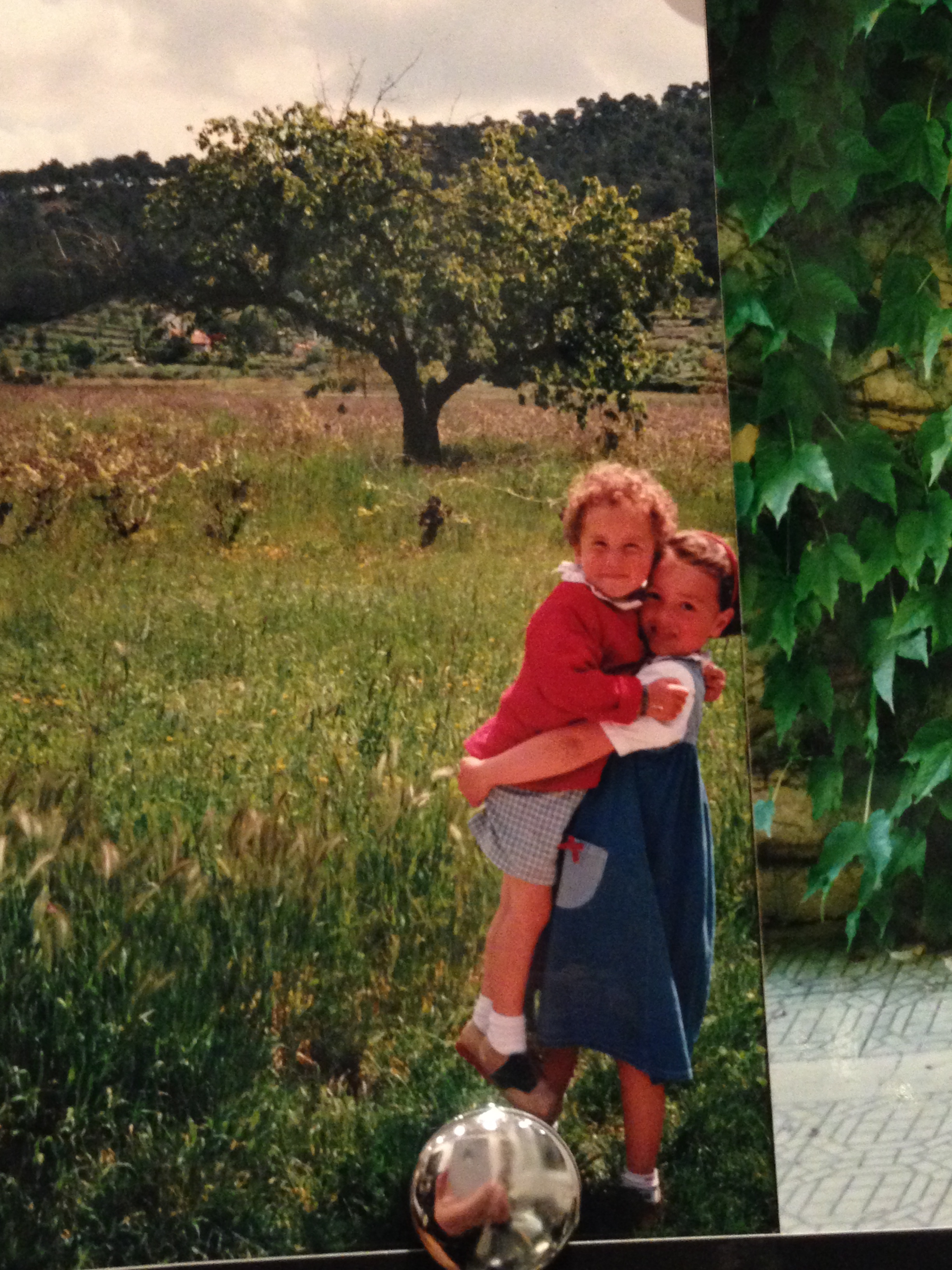 Photos of the Fridge