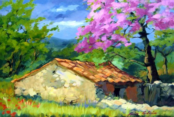 Judea tree Pacific Edge Gallery