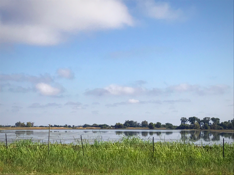 Home view across the street