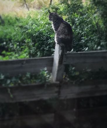 Home view across the street