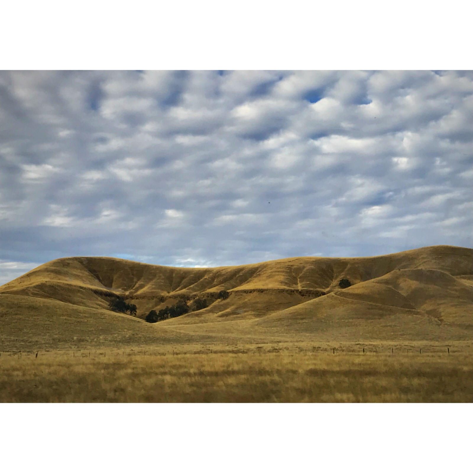 20897C4F-88C6-4073-9DFE-FCF651556A12