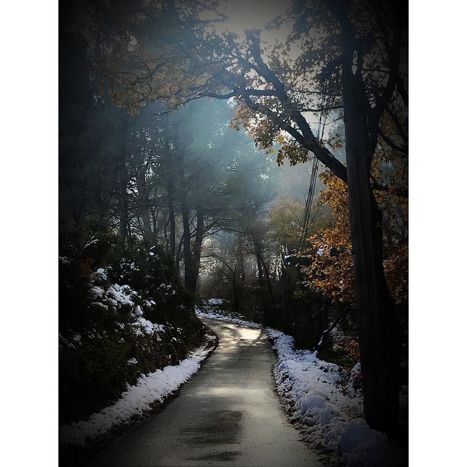Backroads in provence  corey amaro