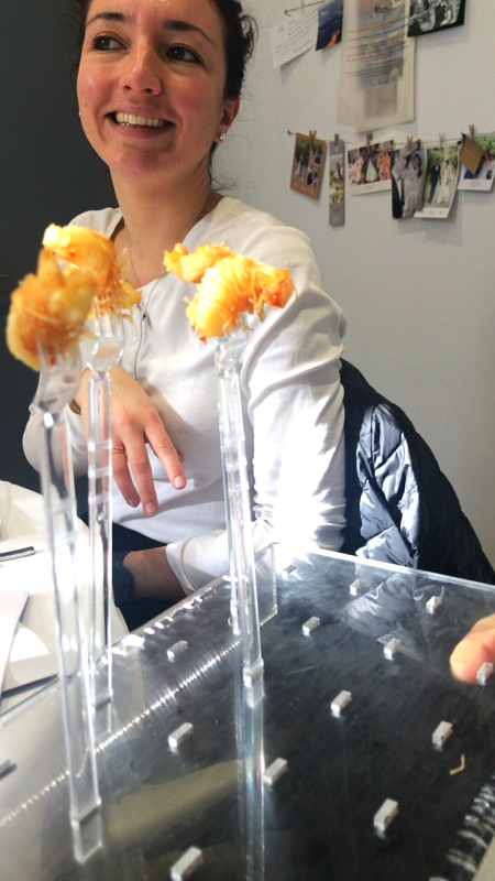 Fleur de Sel, Caterer, Provence, 