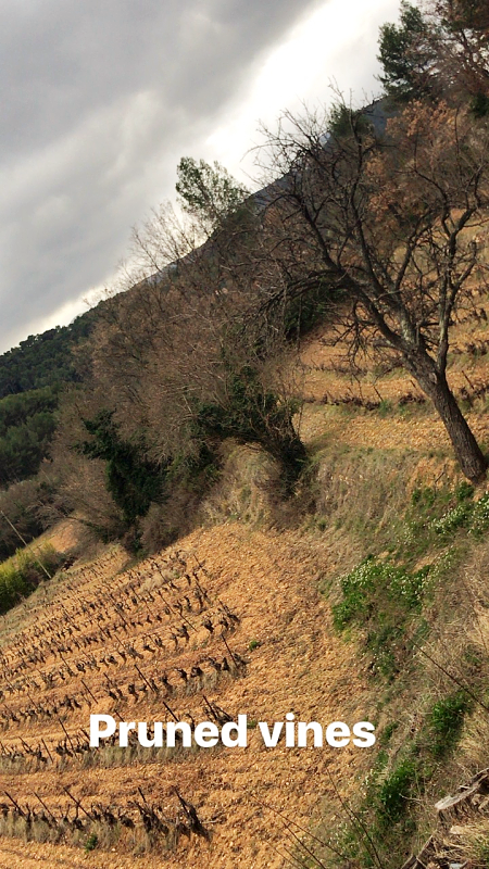 winter in provence france