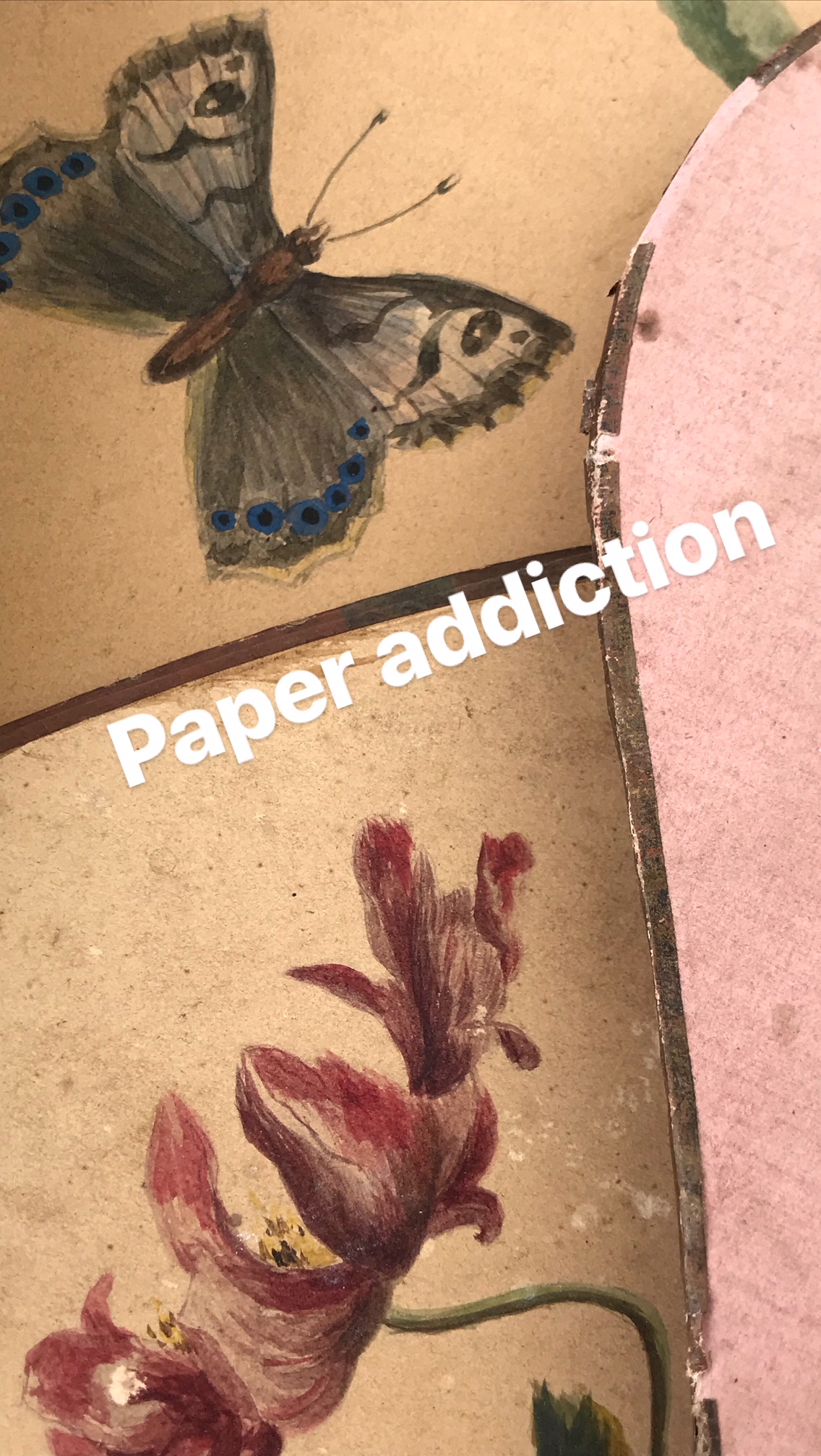 Brocante Barjac, Corey Amaro 