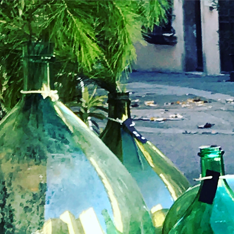 Demi Johns, French Home, Brocante, Corey Amaro