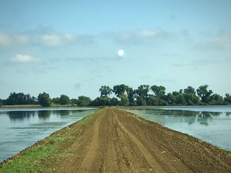 Home view across the street