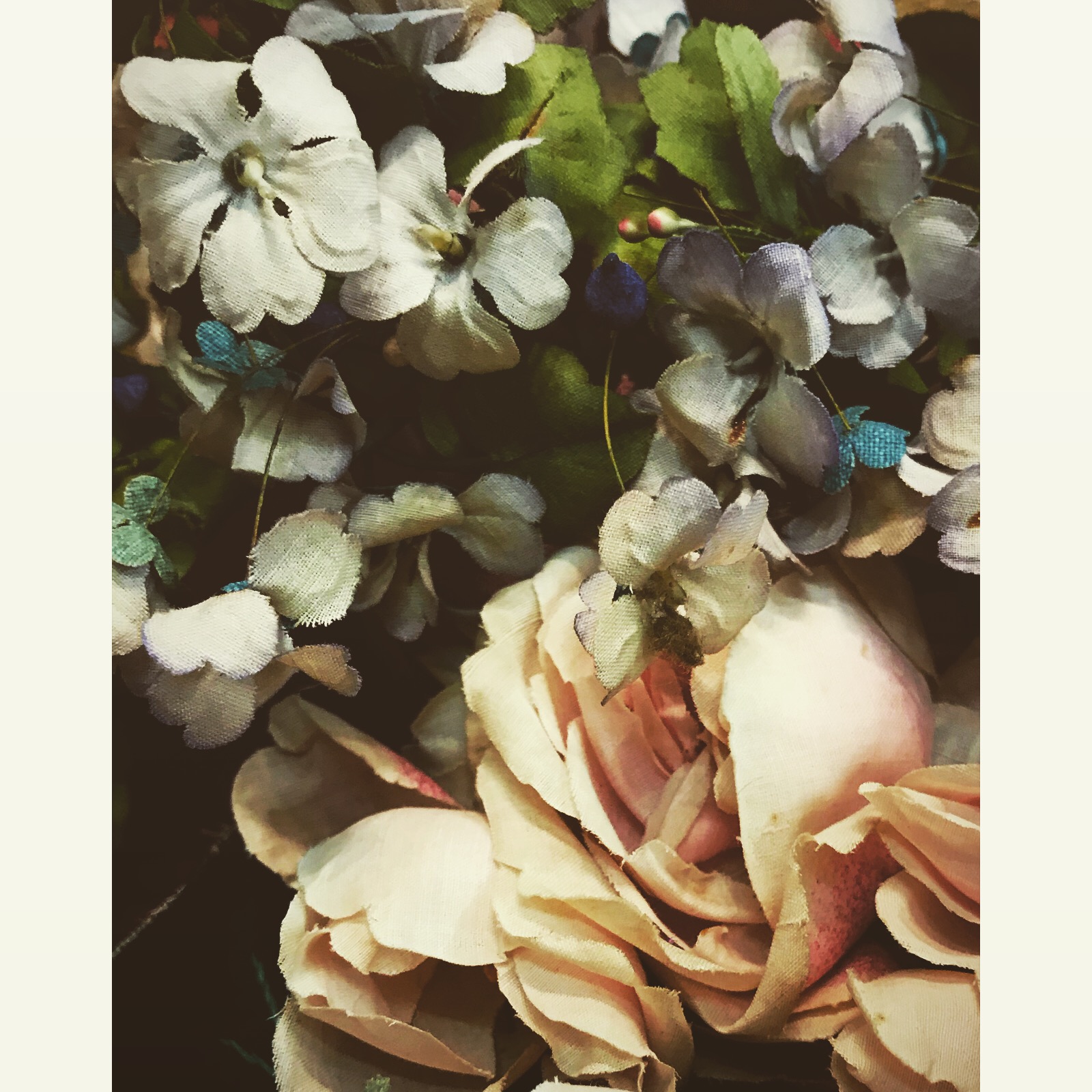 1B02AB1B-7C17-4B29-9350-B37683F0D6B7