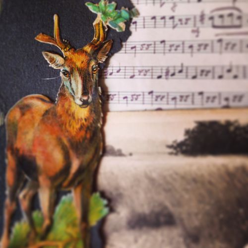 Reindeer christmas corey amaro