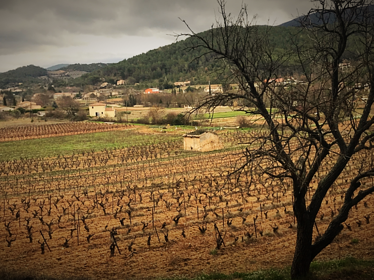 A Winter Walkabout  Provence