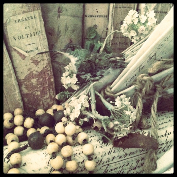 corey amaro photography brocante, poubelle, corey amaro brocante finds