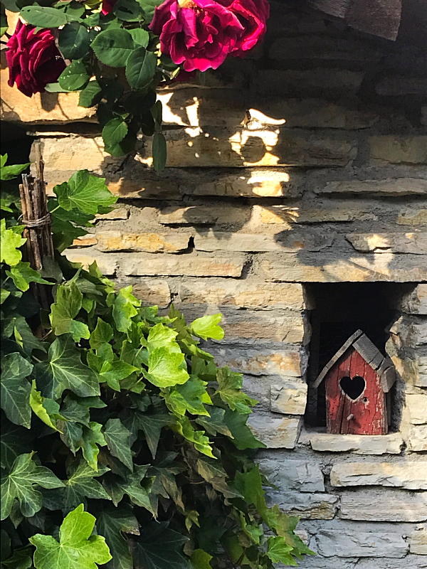 Provencal garden, France, our garden in Spring