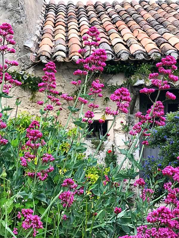 In the heart of Provence