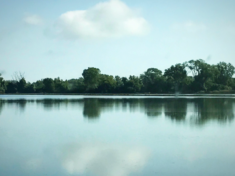 Home view across the street