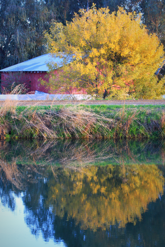 reflections, corey amaro