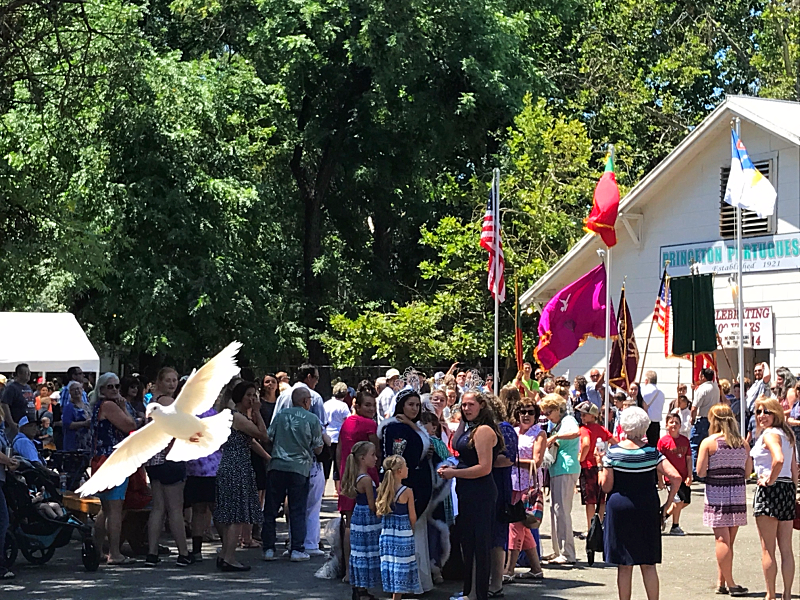 2017 Festa Princeton 2017 Festa Princeton