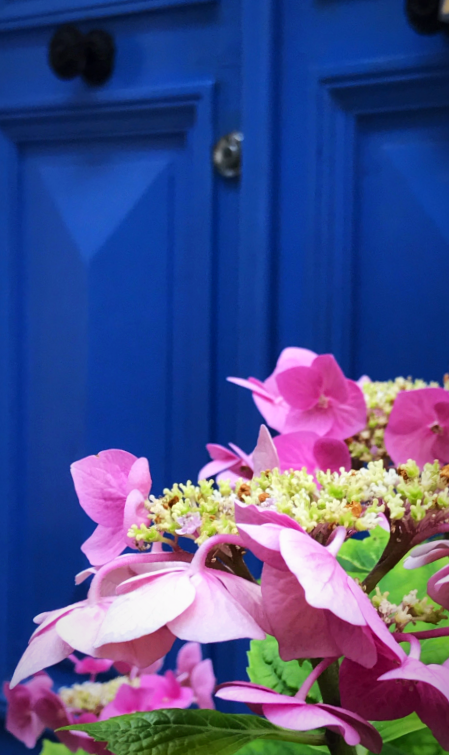 flower path in paris