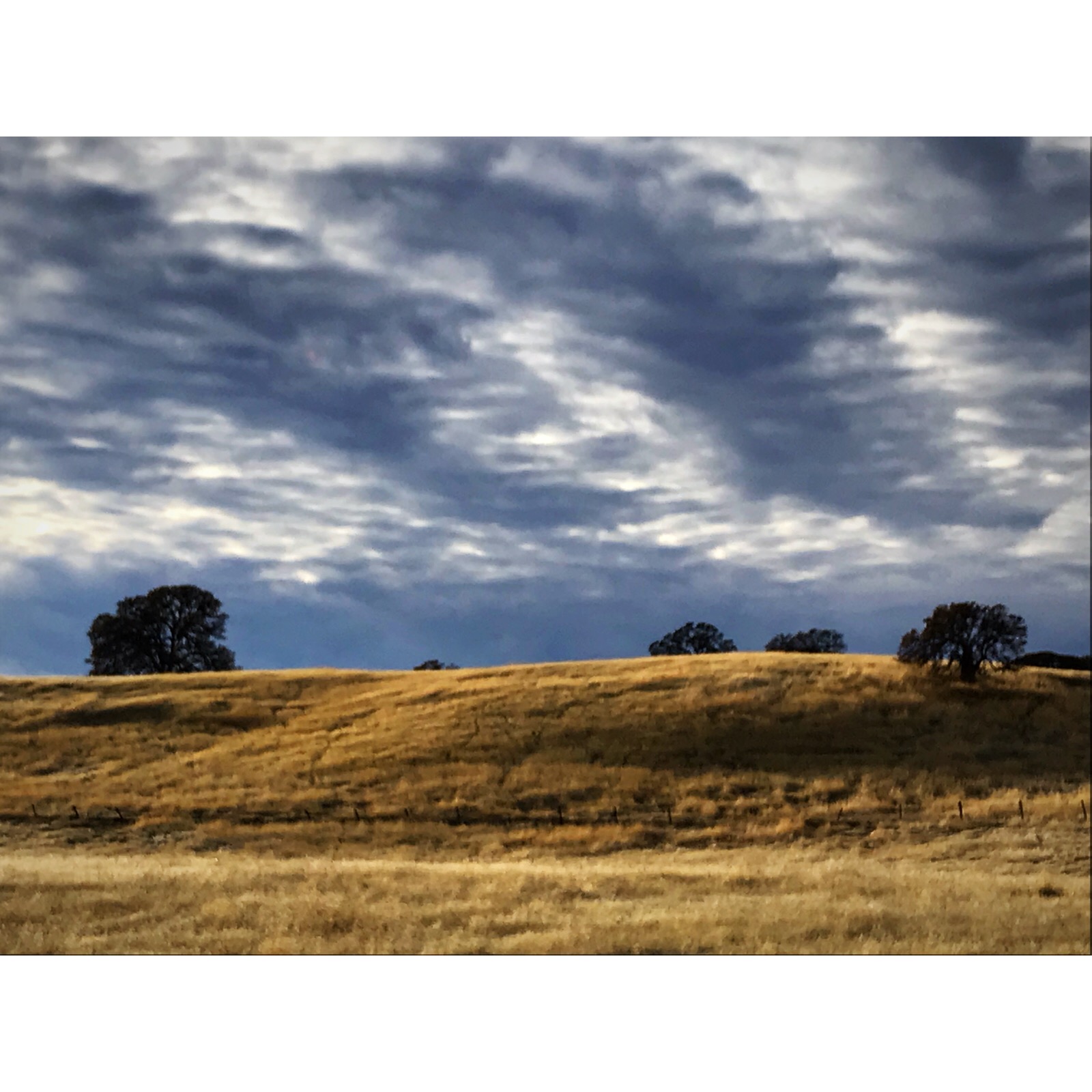 598E6153-FE86-4C31-98C4-E9BAB71F4B85