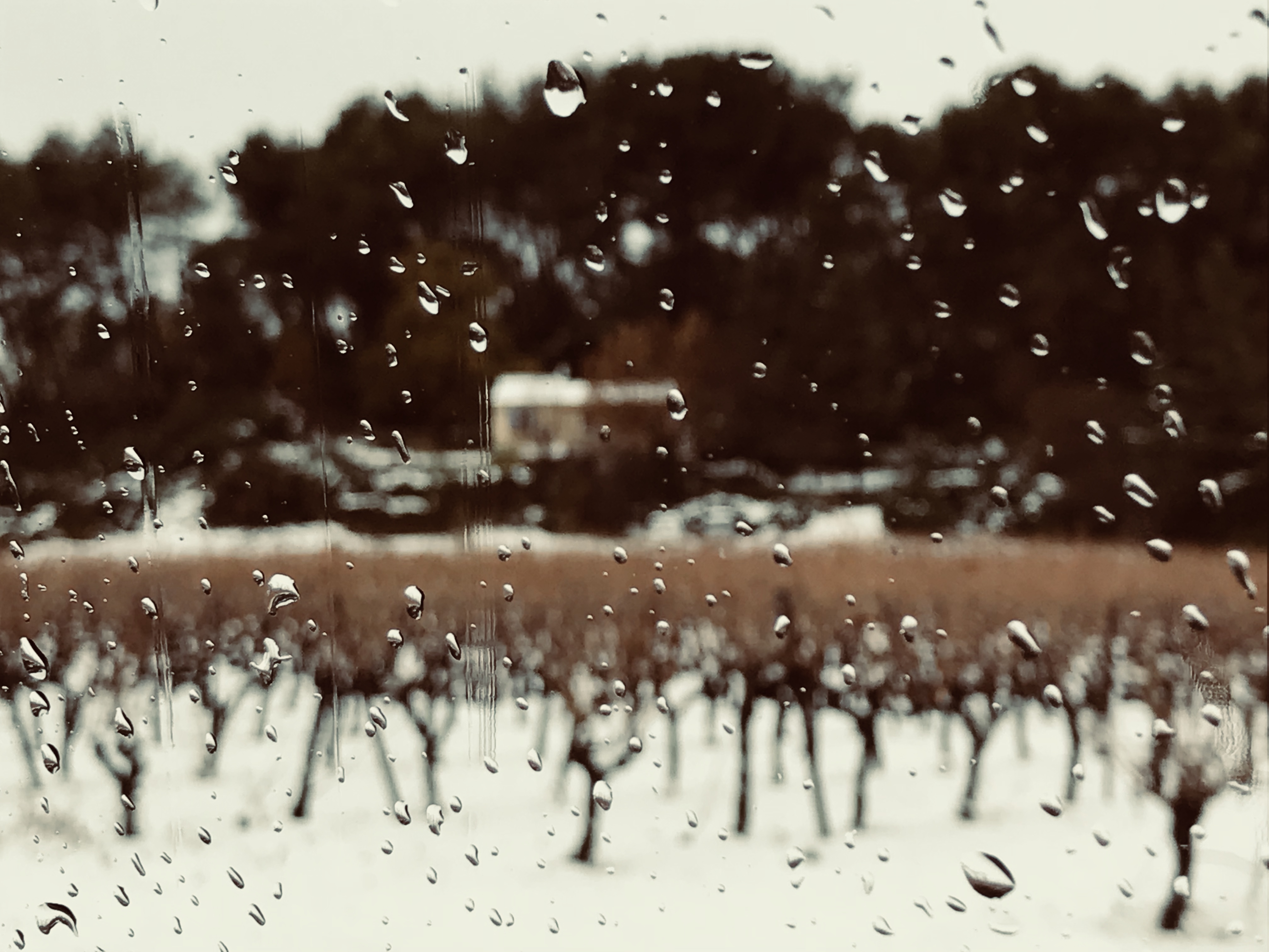 Let it Snow while I Go to the Brocante