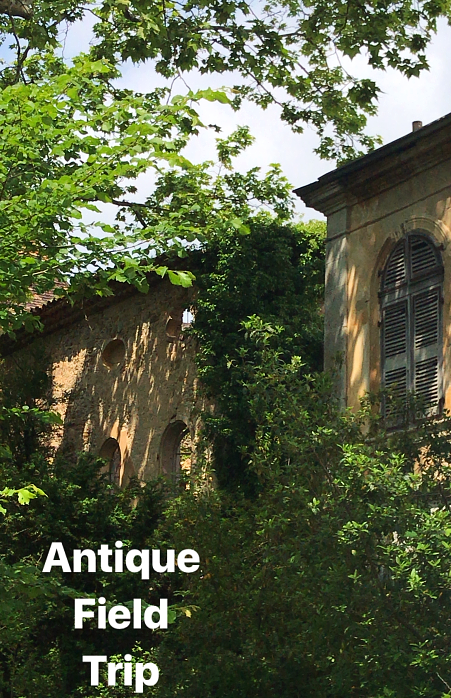 French Antique Field Trip