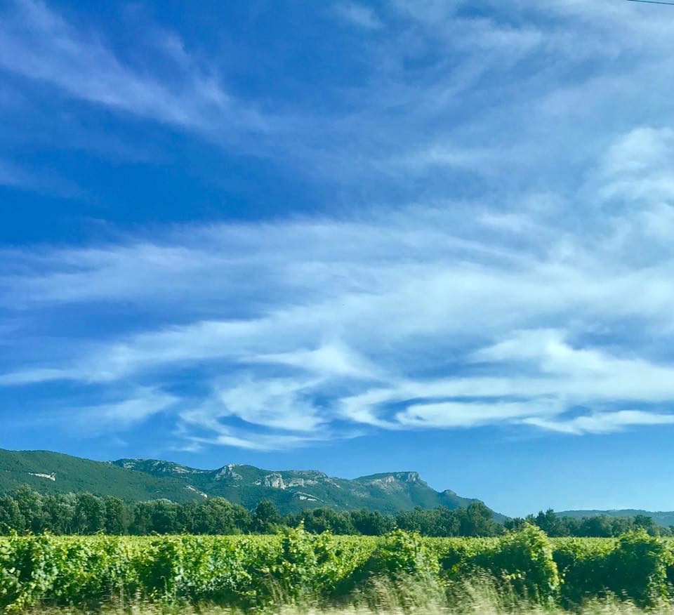 Chelsea and Martin's Wedding Alison Wood Photo 5