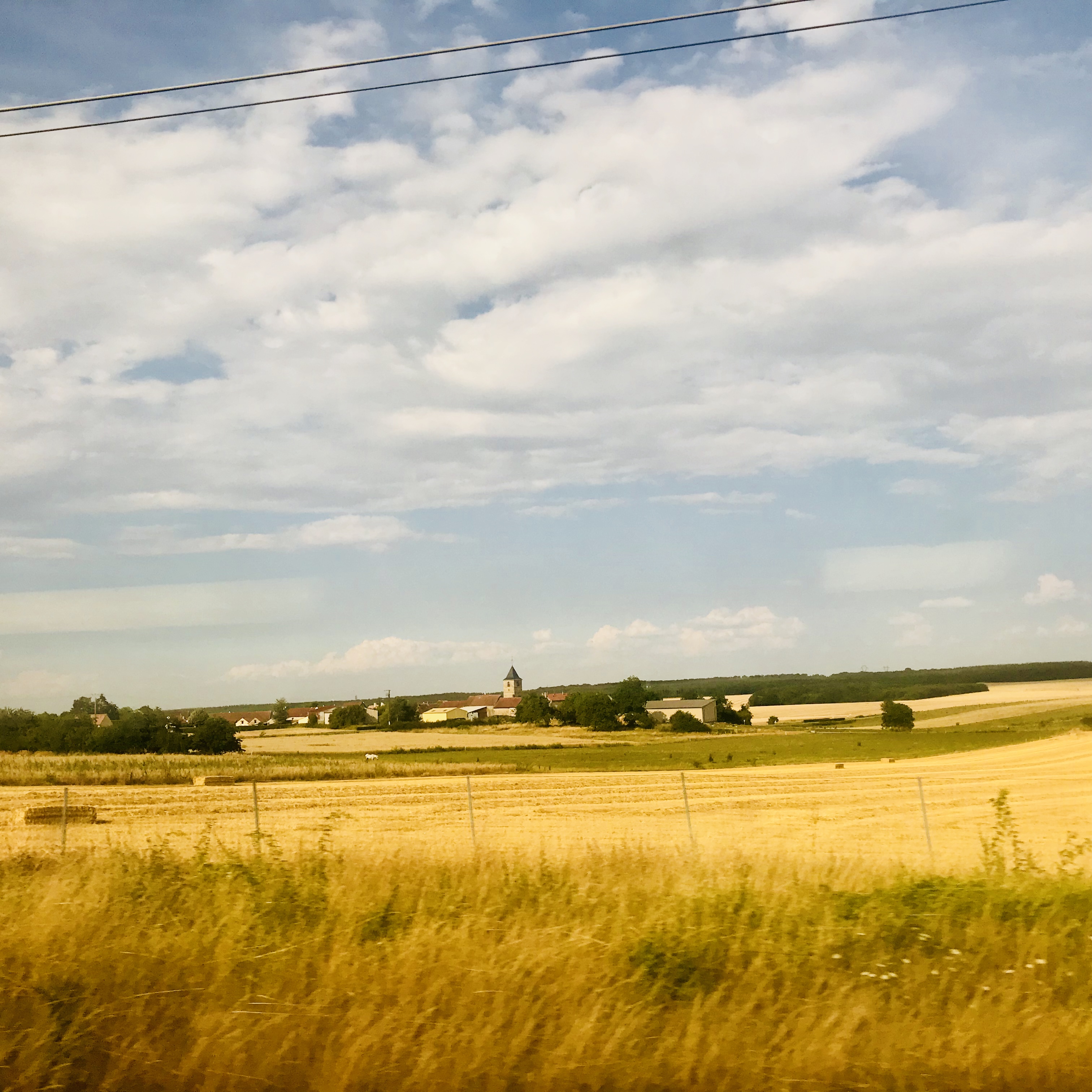 09B95BB5-3A31-4708-9E69-C51F8AB9C37E