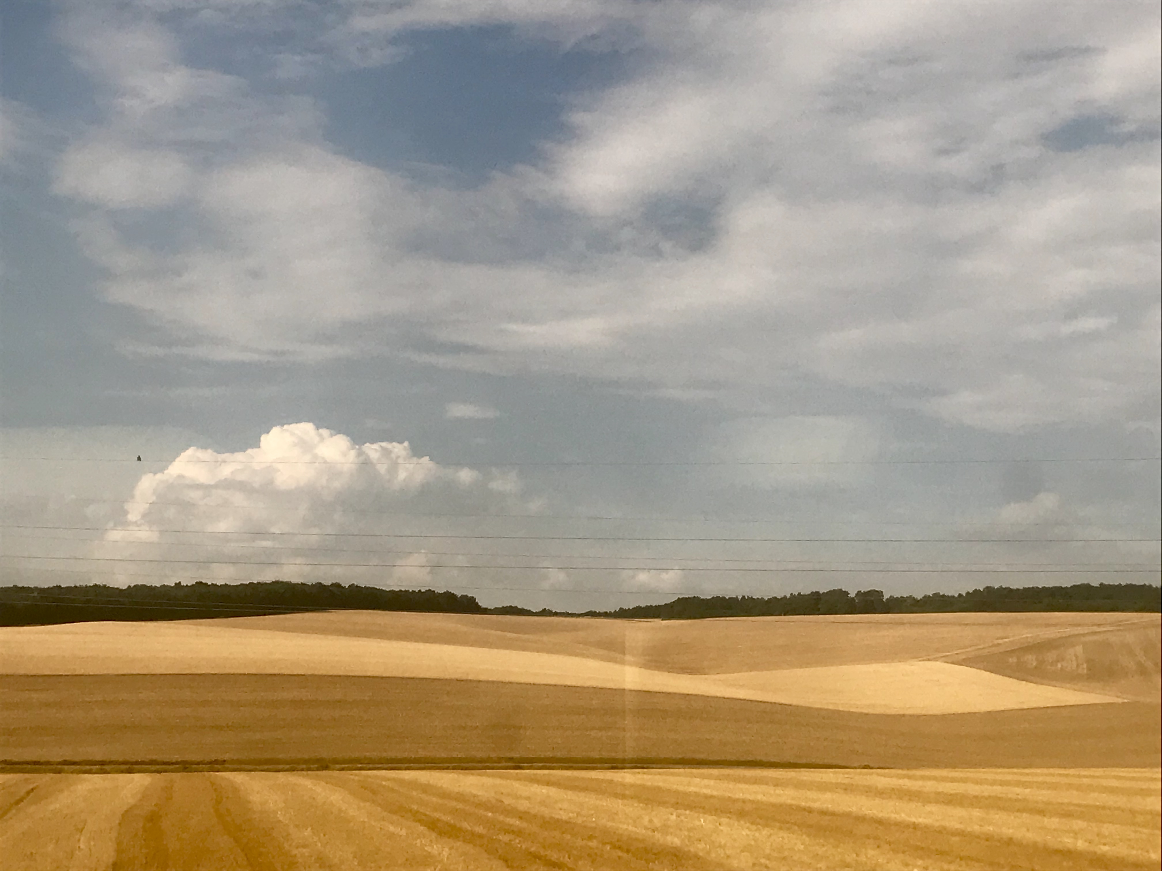 66EDB21F-4468-41AC-AE3E-5507119EFCCB