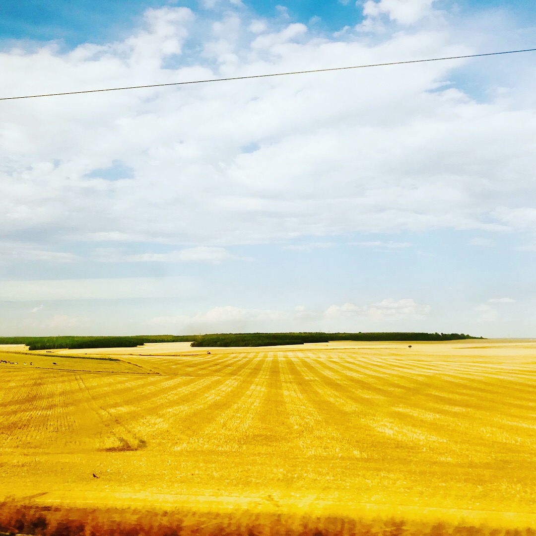 E09E6906-111B-4B63-A9AA-3C3672E3315B